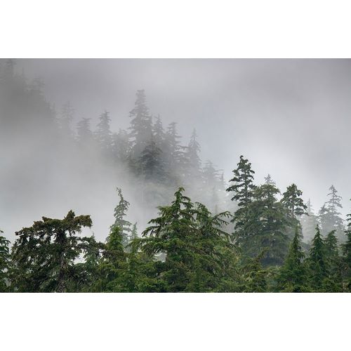 Sederquist, Betty 아티스트의 Usa-Alaska Mists-fog and rain for the coastal temperate rainforest in Southeast Alaska작품입니다.